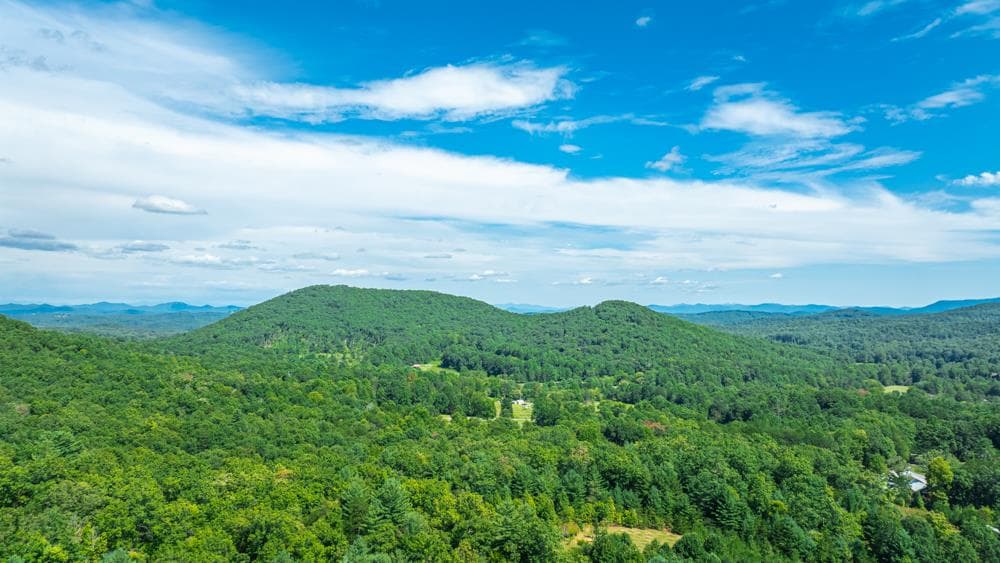 300 Cloudland Trace, Epworth GA 30541 - Photo