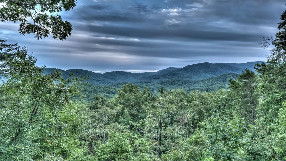 300 Cloudland Trace, Epworth GA 30541 - Photo