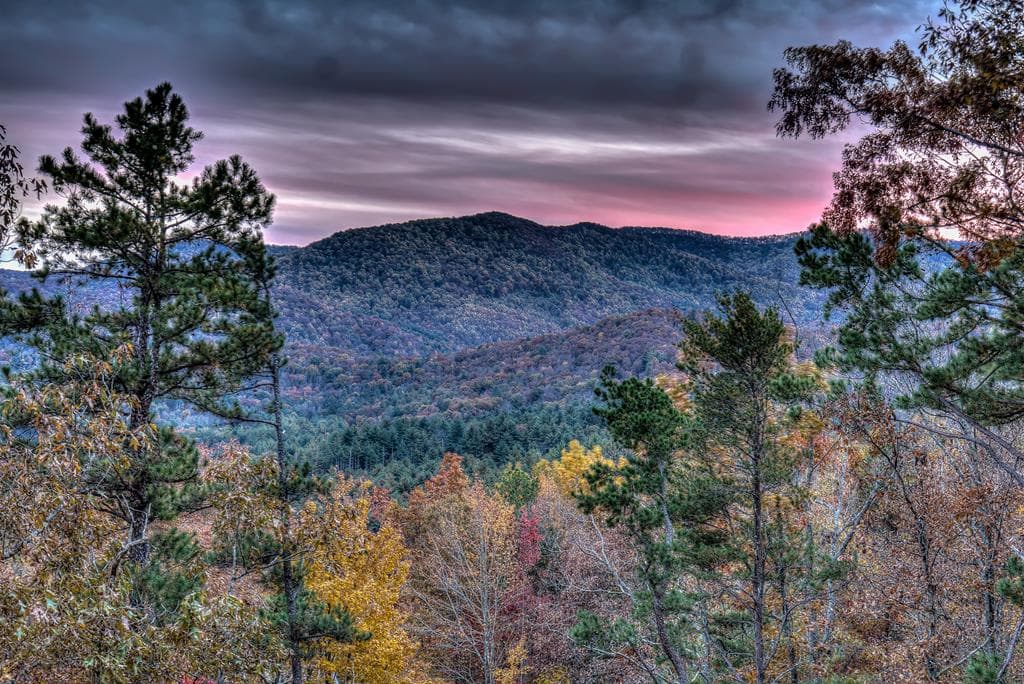 300 Cloudland Trace, Epworth GA 30541 - Photo