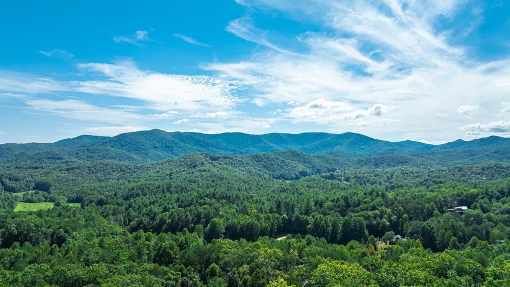 300 Cloudland Trace, Epworth GA 30541 - Photo