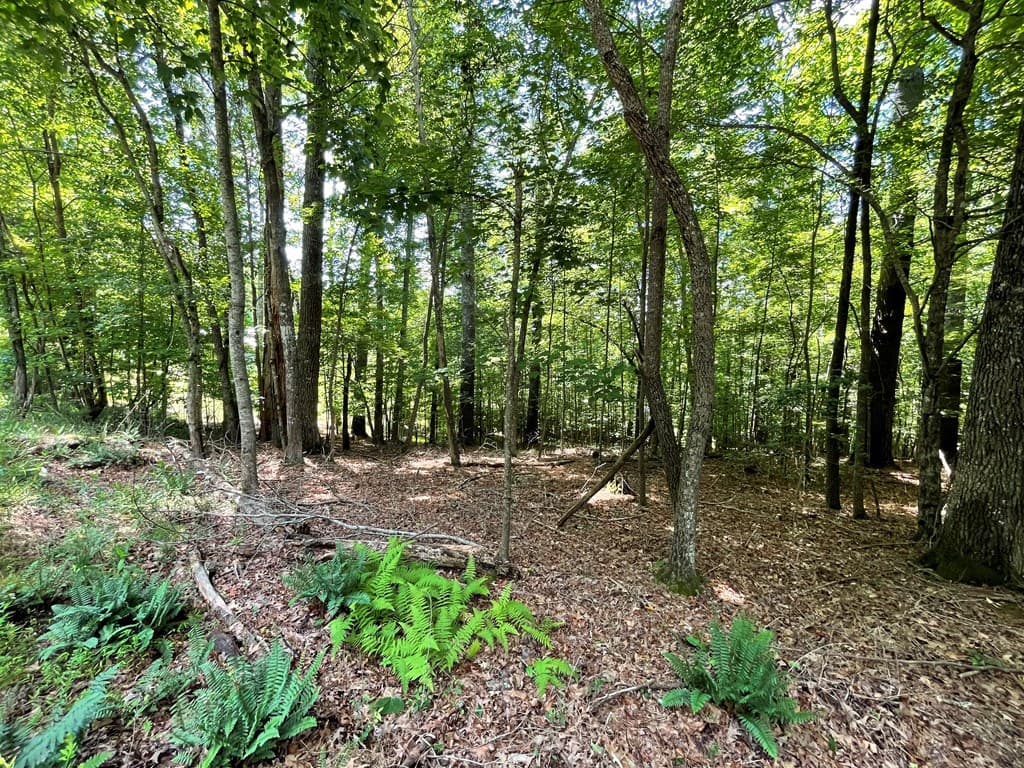 Lot 15 Summit Way, Blairsville GA 30512 - Photo