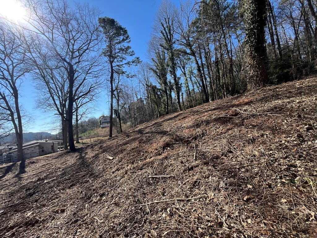 59 Bradley Street, Blue Ridge GA 30513 - Photo