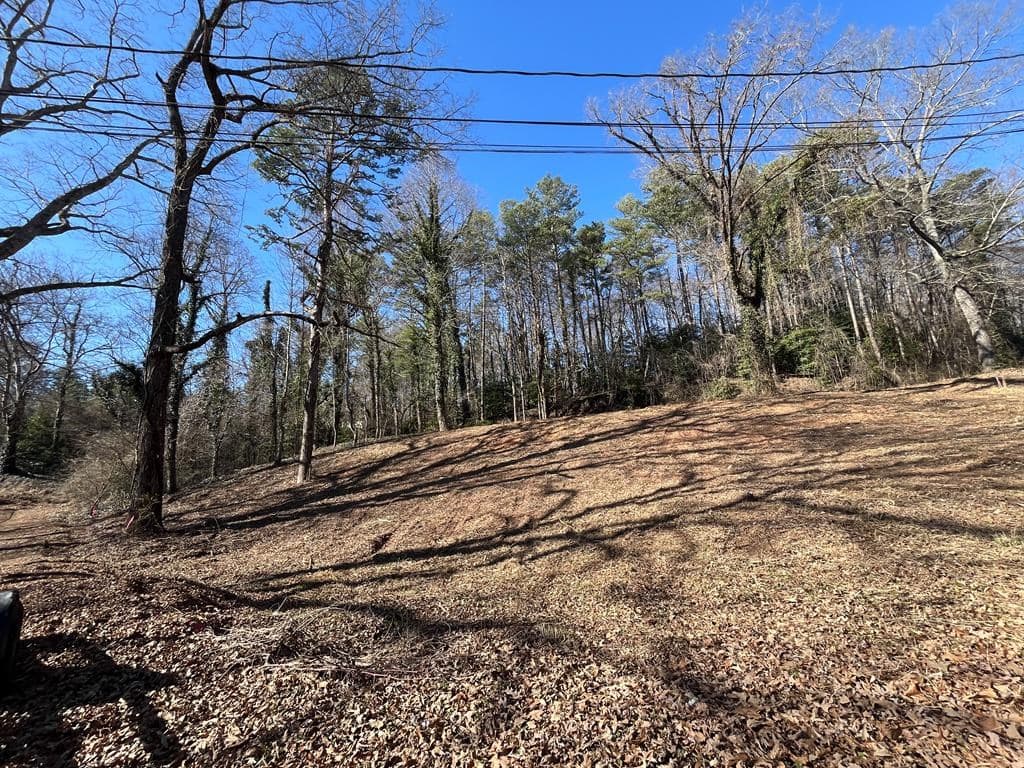 59 Bradley Street, Blue Ridge GA 30513 - Photo