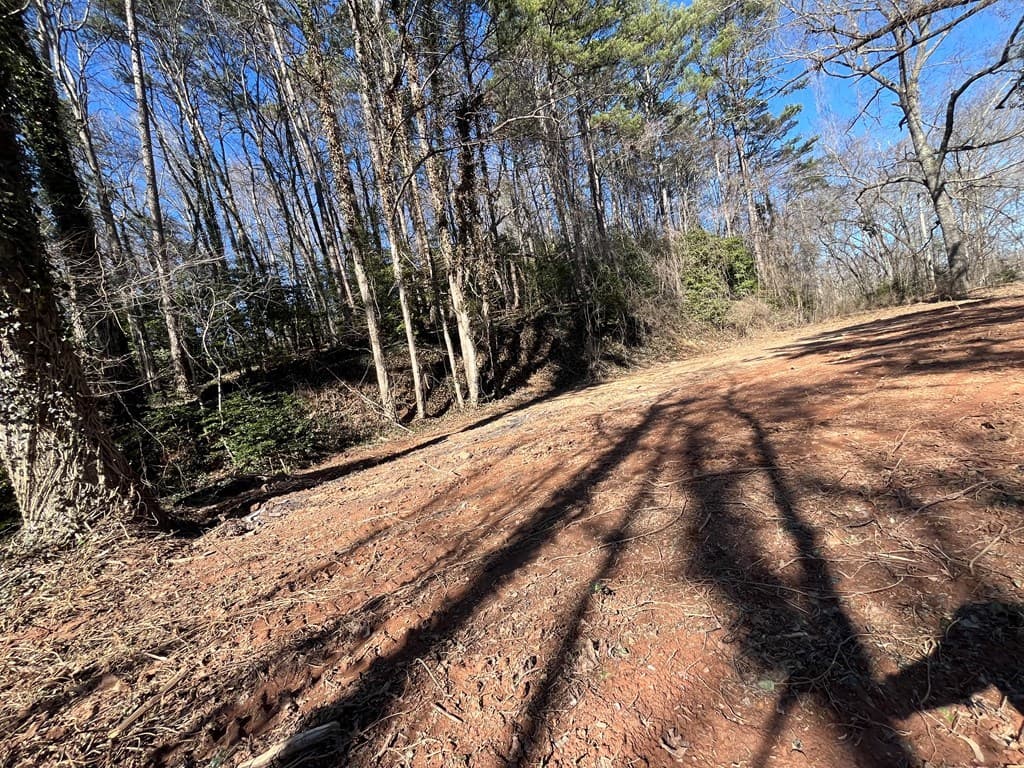 59 Bradley Street, Blue Ridge GA 30513 - Photo
