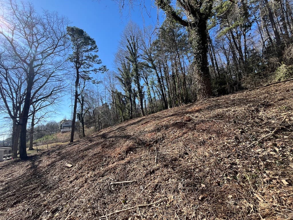 59 Bradley Street, Blue Ridge GA 30513 - Photo