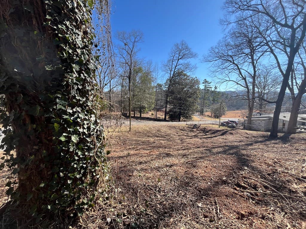 59 Bradley Street, Blue Ridge GA 30513 - Photo