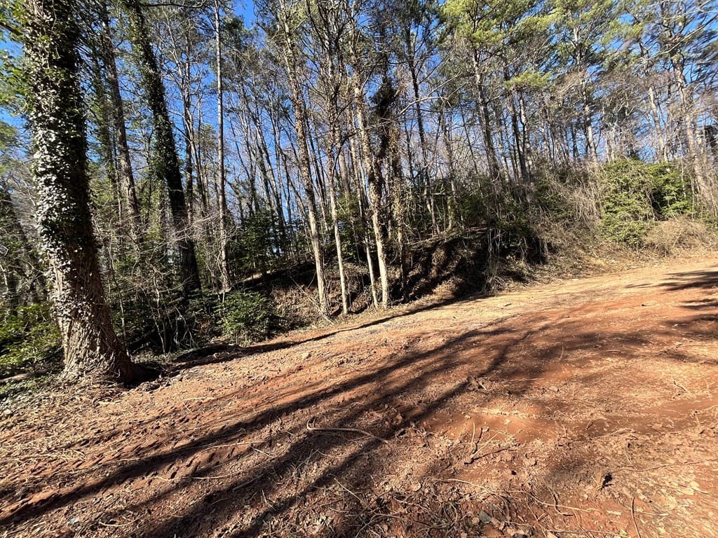 59 Bradley Street, Blue Ridge GA 30513 - Photo