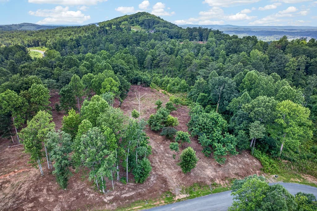 LT 227 Vineyard At Yukon, Talking Rock GA 30175 - Photo