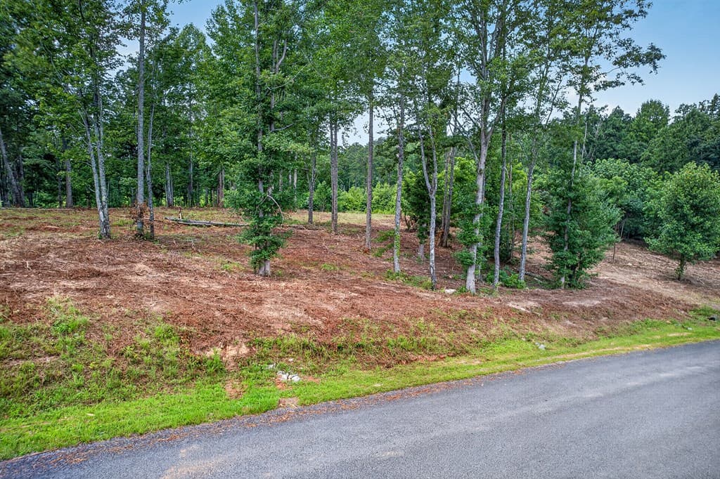 LT 227 Vineyard At Yukon, Talking Rock GA 30175 - Photo