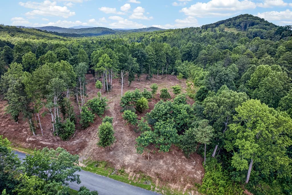 LT 227 Vineyard At Yukon, Talking Rock GA 30175 - Photo