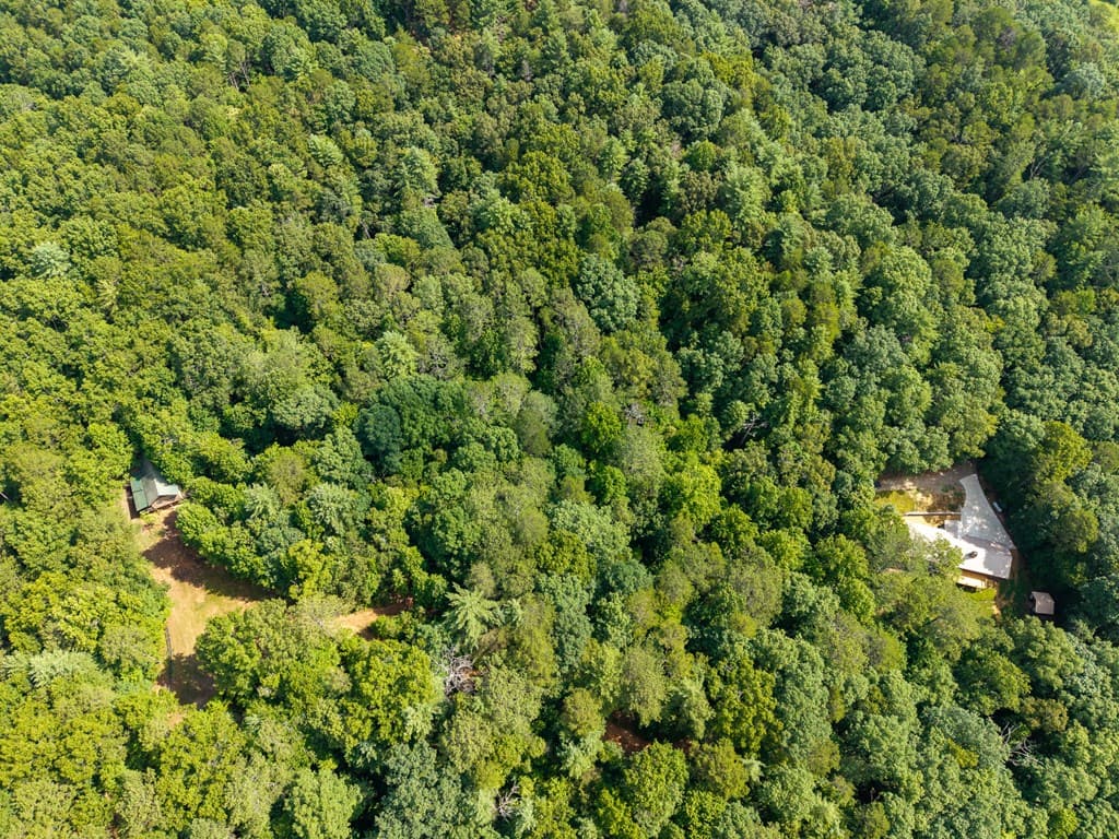 673 Harold Pritchett Road, Ellijay GA 30540 - Photo