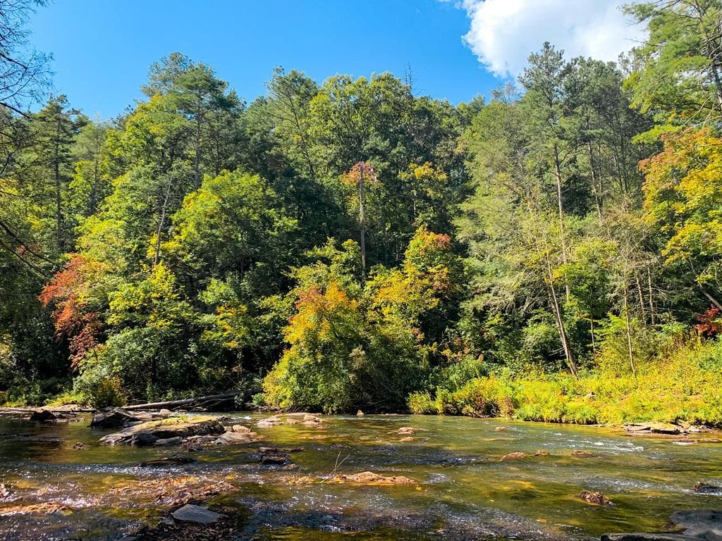 50 Kings Court, Ellijay GA 30540 - Photo