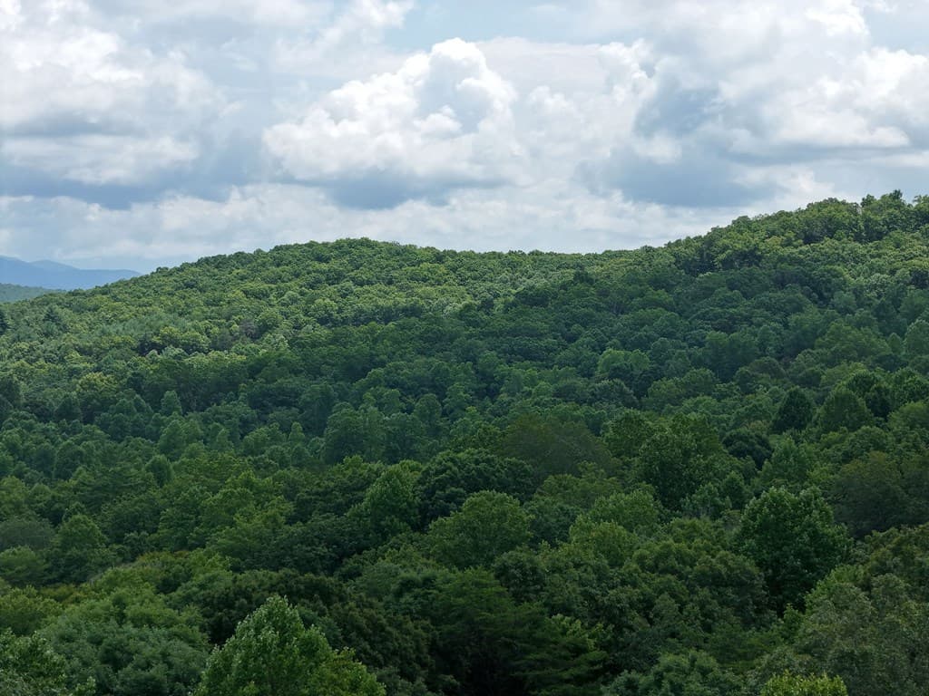 Lot 71 Chicory Drive W, Blairsville GA 30512 - Photo