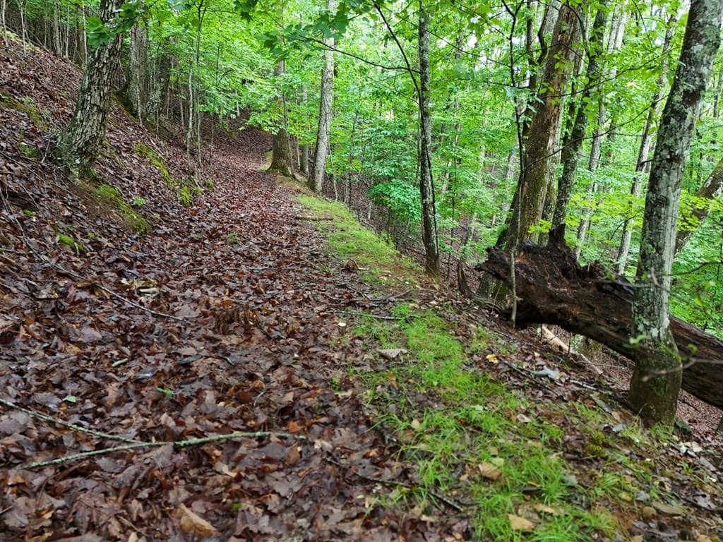 Lot 71 Chicory Drive W, Blairsville GA 30512 - Photo