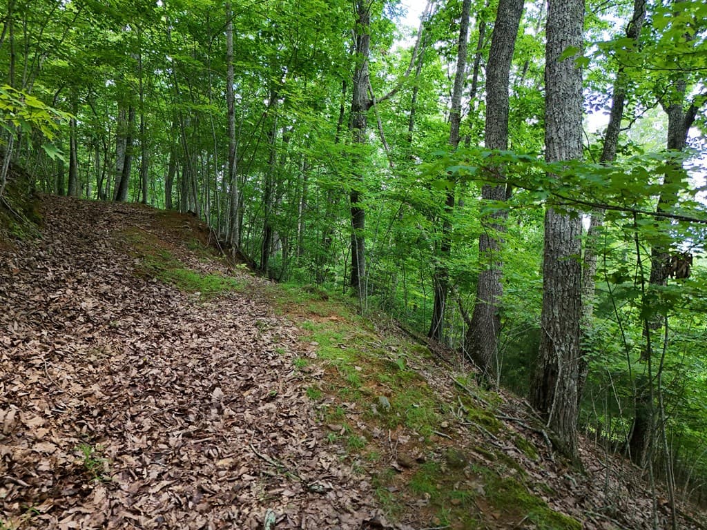 Lot 71 Chicory Drive W, Blairsville GA 30512 - Photo