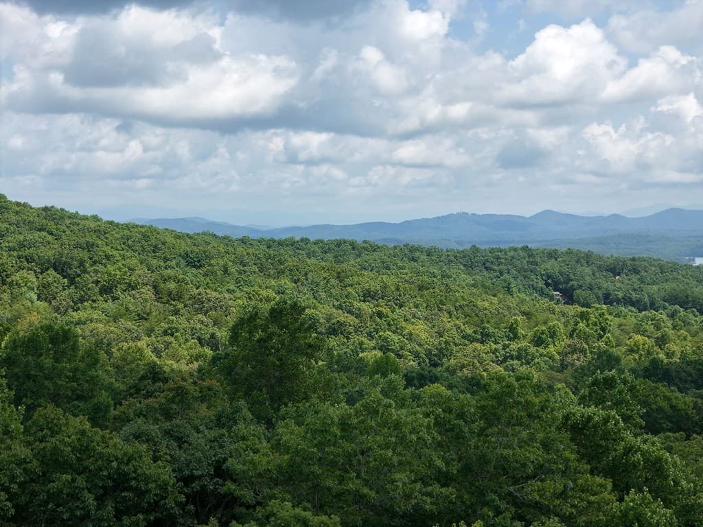 Lot 71 Chicory Drive W, Blairsville GA 30512 - Photo