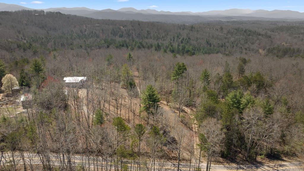 1262 Maple Grove Road, Morganton GA 30560 - Photo