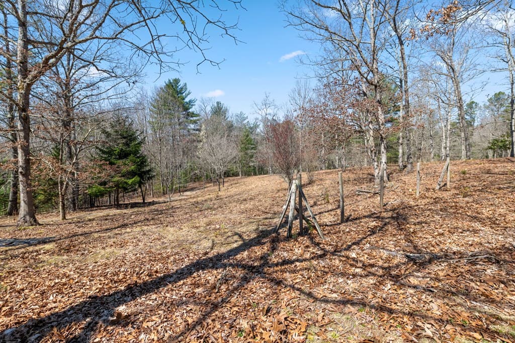 1262 Maple Grove Road, Morganton GA 30560 - Photo