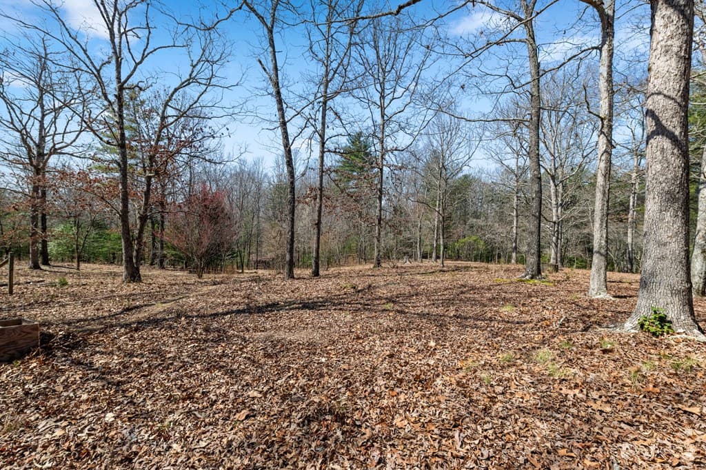 1262 Maple Grove Road, Morganton GA 30560 - Photo