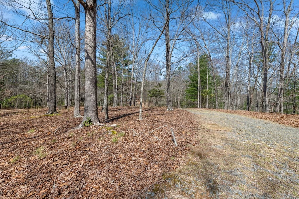 1262 Maple Grove Road, Morganton GA 30560 - Photo