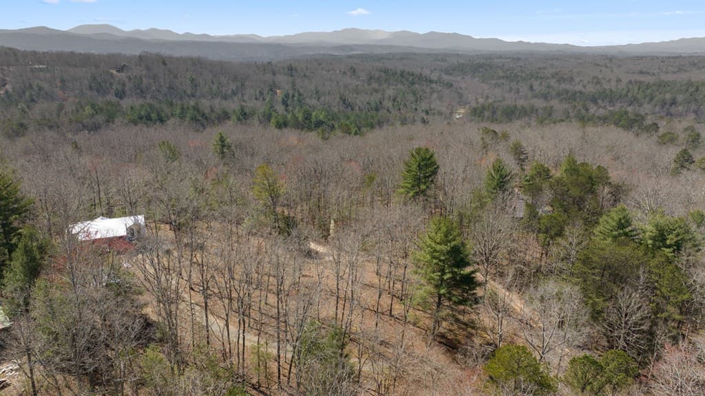 1262 Maple Grove Road, Morganton GA 30560 - Photo