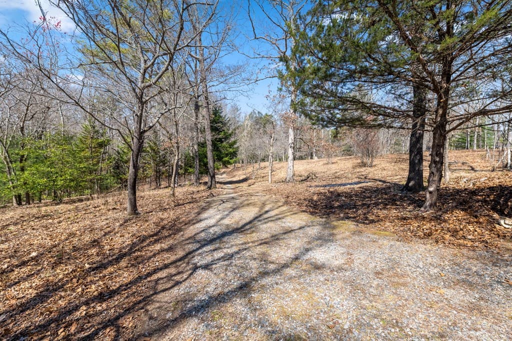 1262 Maple Grove Road, Morganton GA 30560 - Photo