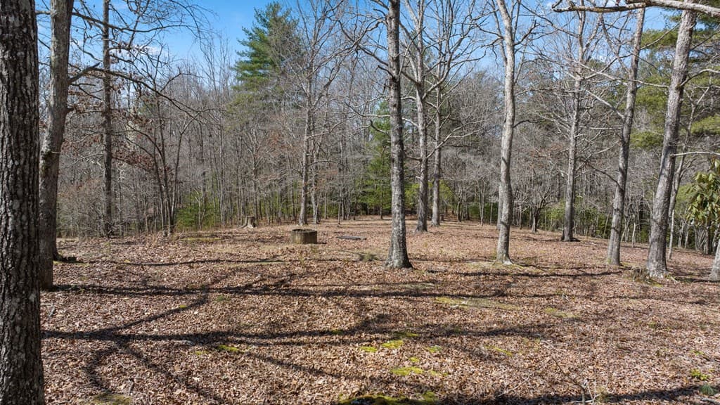 1262 Maple Grove Road, Morganton GA 30560 - Photo