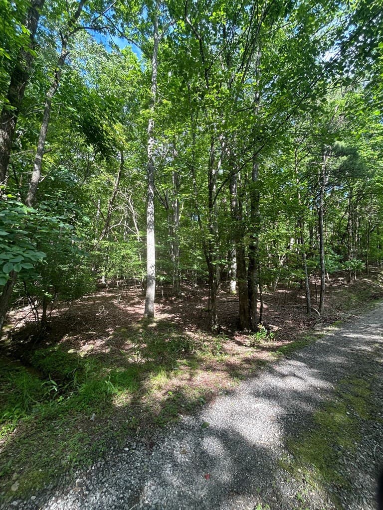 0 East Two Pond Lane, Hayesville NC 28904 - Photo
