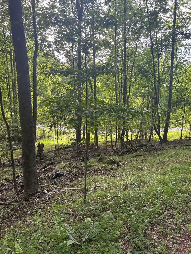 0 East Two Pond Lane, Hayesville NC 28904 - Photo