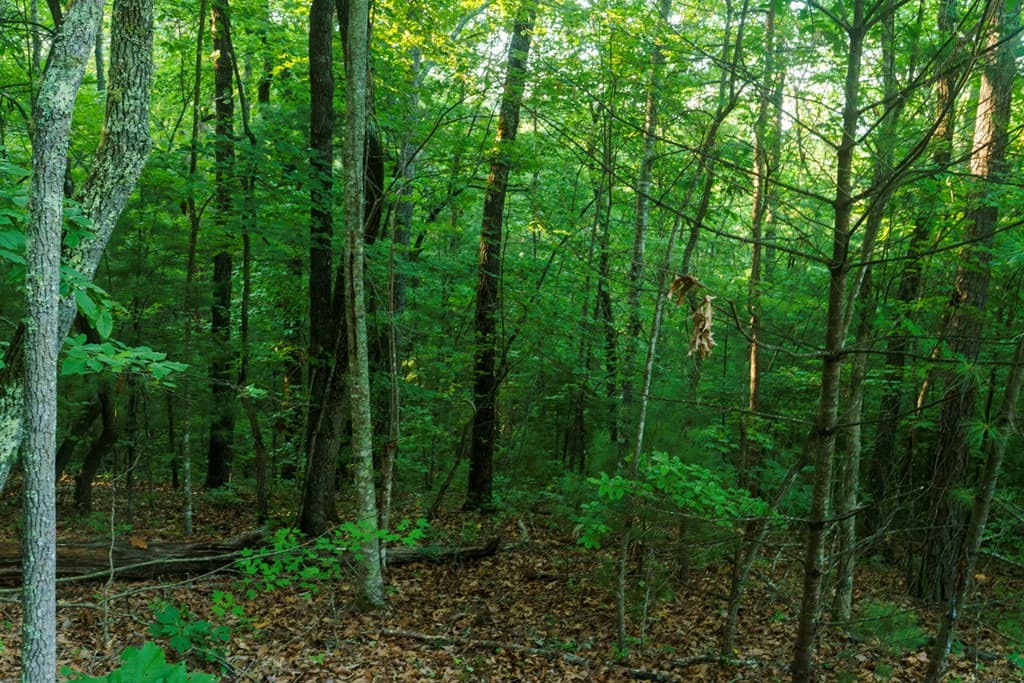 0 Gloryland Way, Murphy NC 28906 - Photo