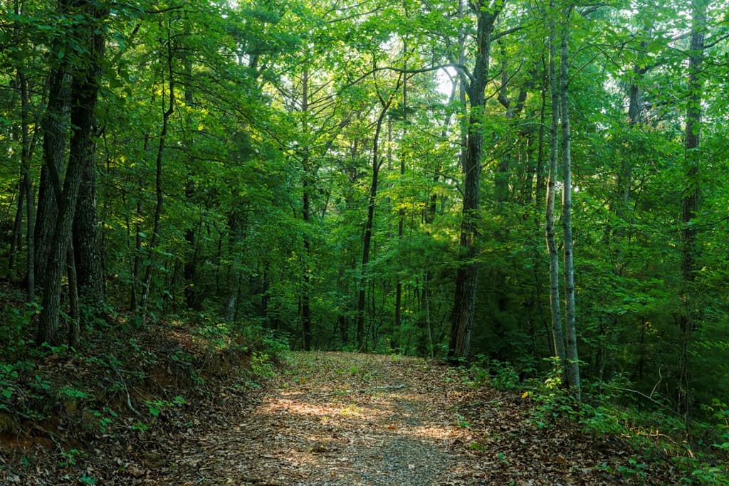 0 Gloryland Way, Murphy NC 28906 - Photo