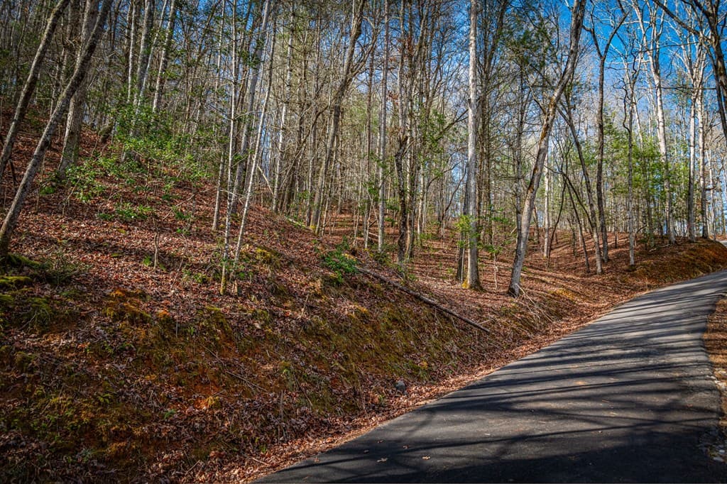 5.15 AC Spence Road, Blue Ridge GA 30513 - Photo