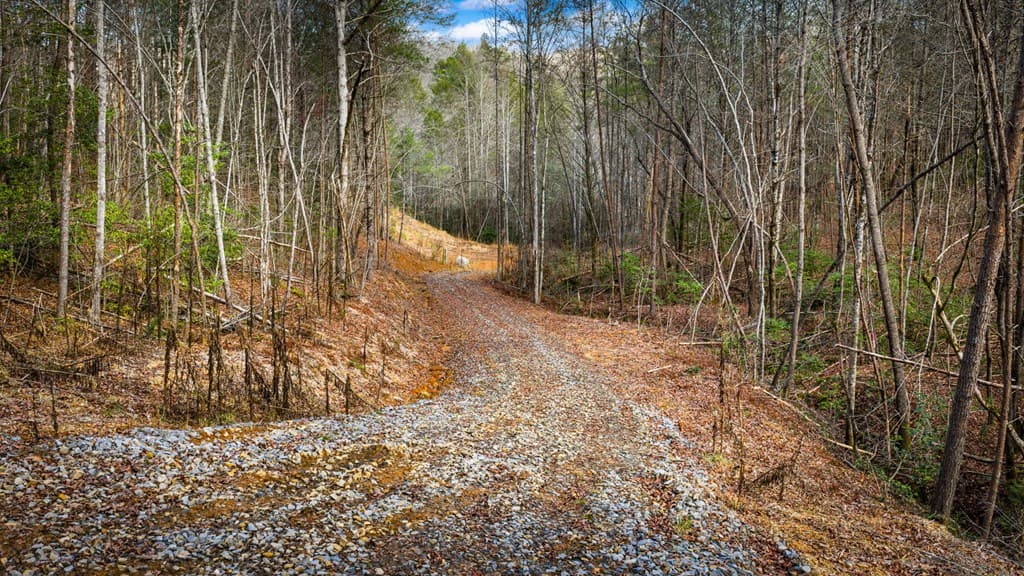 5.15 AC Spence Road, Blue Ridge GA 30513 - Photo