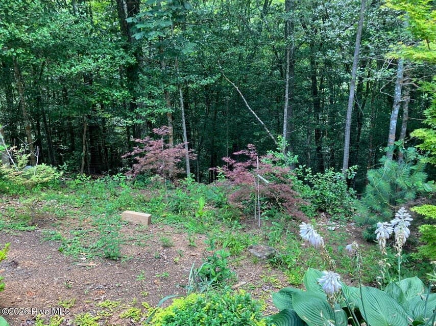 195 Woodcrest Drive, Murphy NC 28906 - Photo