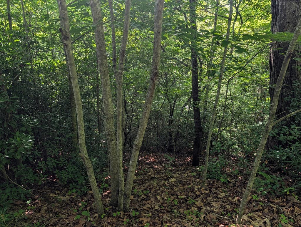 1&2 Water View Lane, Hayesville NC 28904 - Photo