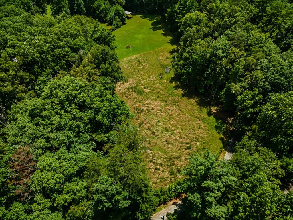 13224 Old Hwy 76, Morganton GA 30560 - Photo