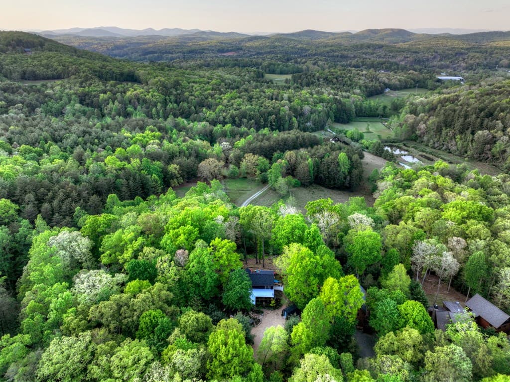 329 Robinson Thomas Road, Morganton GA 30560 - Photo