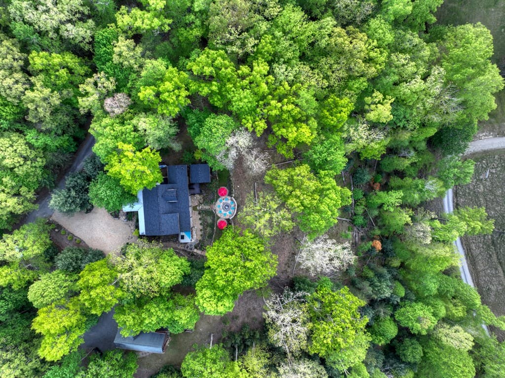 329 Robinson Thomas Road, Morganton GA 30560 - Photo