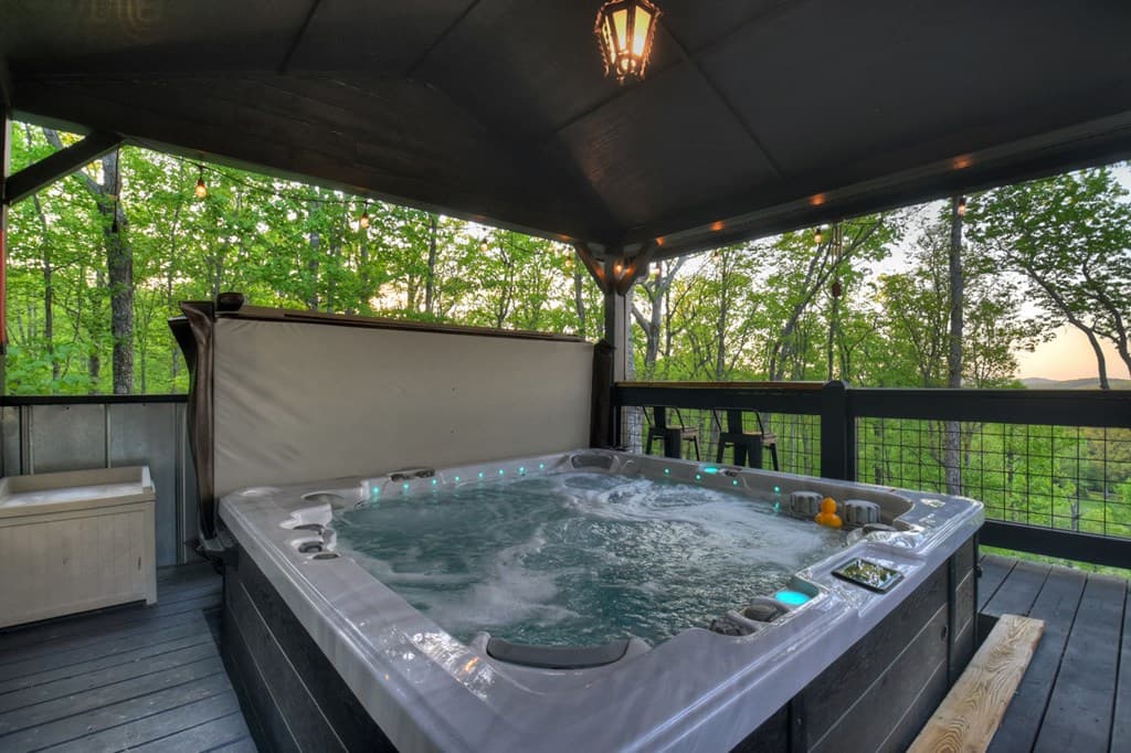 329 Robinson Thomas Road, Morganton GA 30560 - Photo