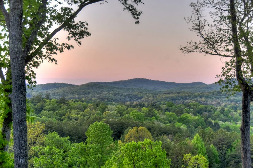 329 Robinson Thomas Road, Morganton GA 30560 - Photo