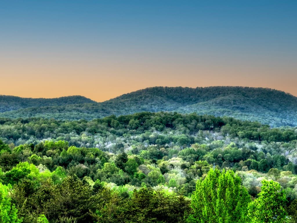 329 Robinson Thomas Road, Morganton GA 30560 - Photo