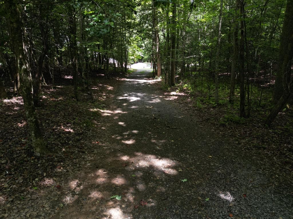 218 Broken Arrow Way, Epworth GA 30541 - Photo
