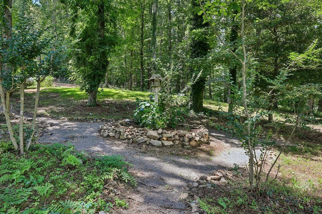 4218 Roy Road, Ellijay GA 30356 - Photo