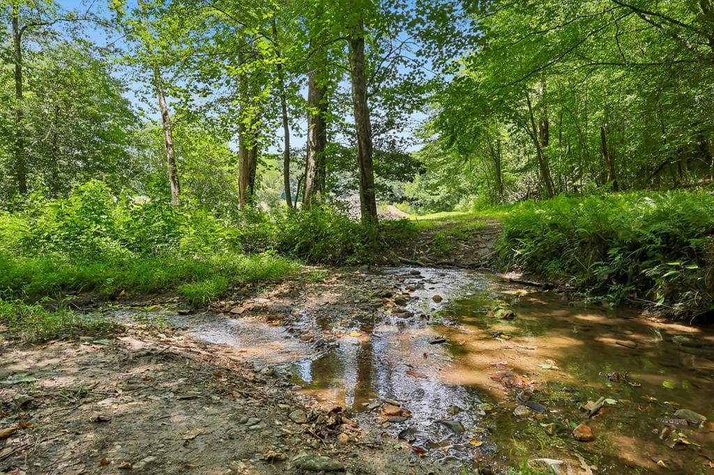 4218 Roy Road, Ellijay GA 30356 - Photo