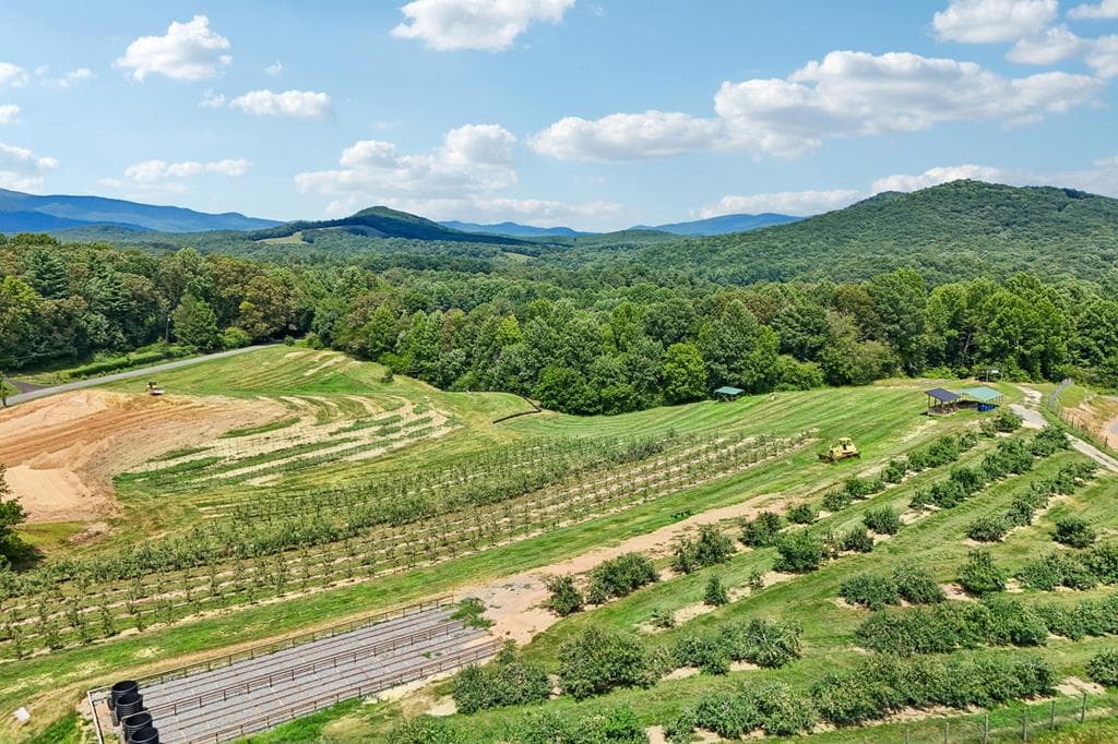 4218 Roy Road, Ellijay GA 30356 - Photo