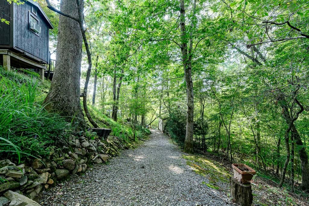 540 Young Cane Creek Road, Blairsville GA 30512 - Photo
