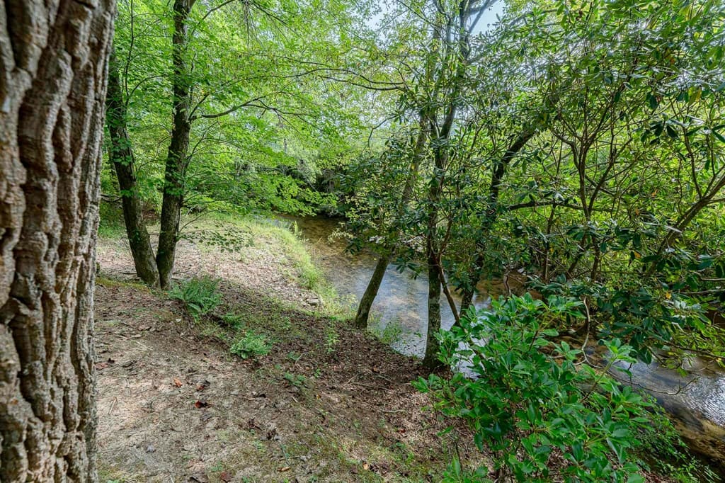540 Young Cane Creek Road, Blairsville GA 30512 - Photo