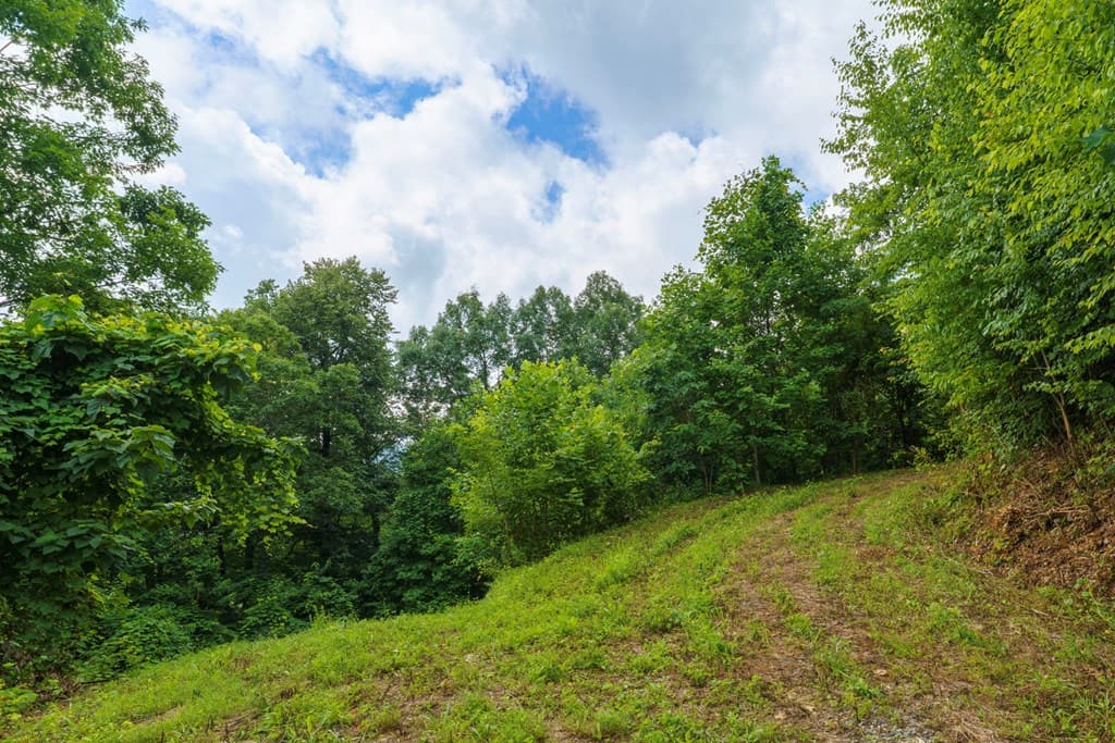 235 Rios Drive, Bryson City NC 28713 - Photo