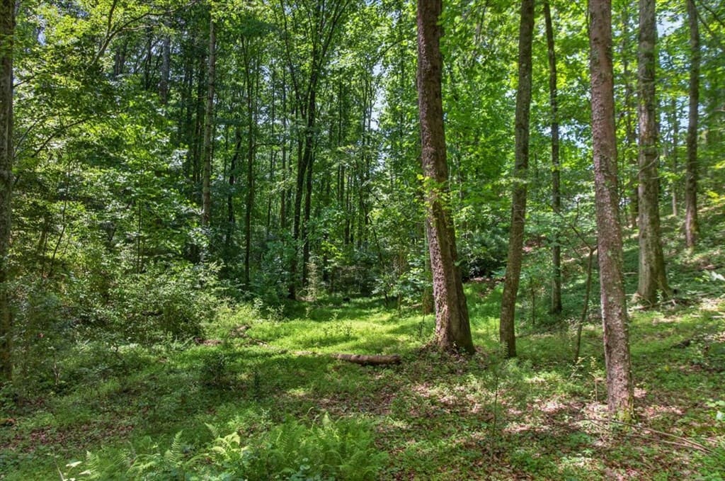 1965 E Highway 52, Ellijay GA 30536 - Photo