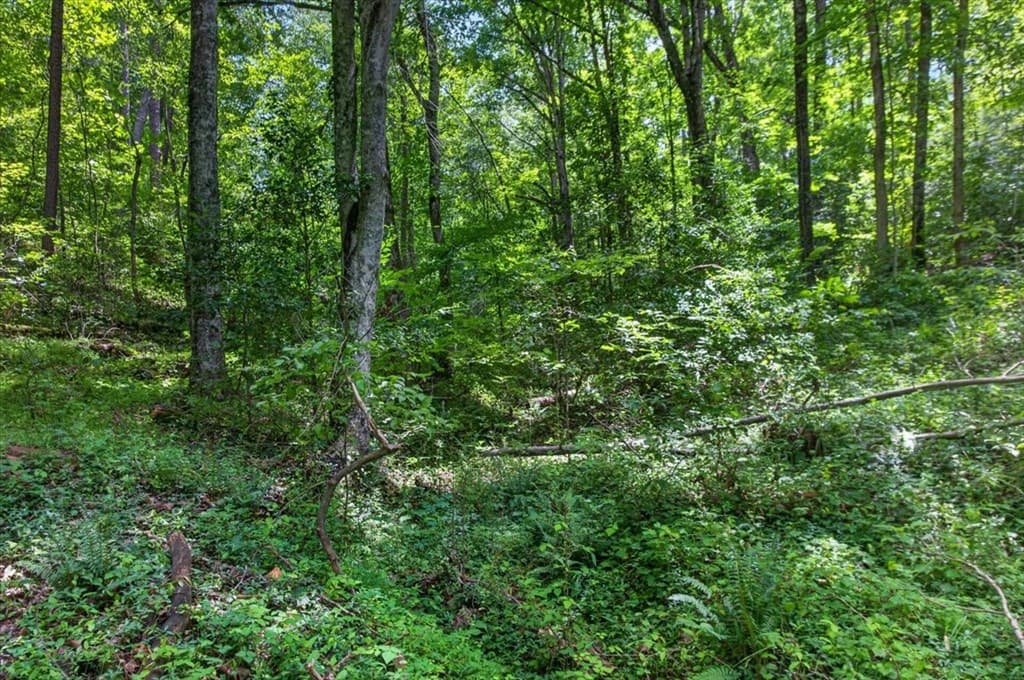 1965 E Highway 52, Ellijay GA 30536 - Photo